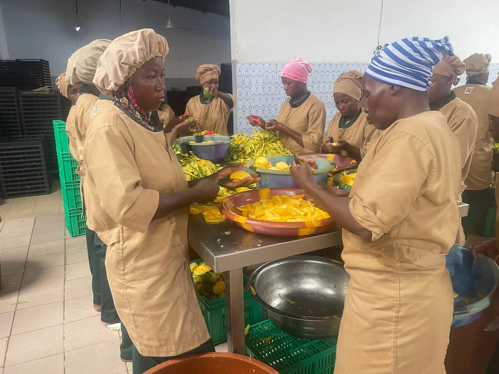 Lanières de mangue au poste de découpe.