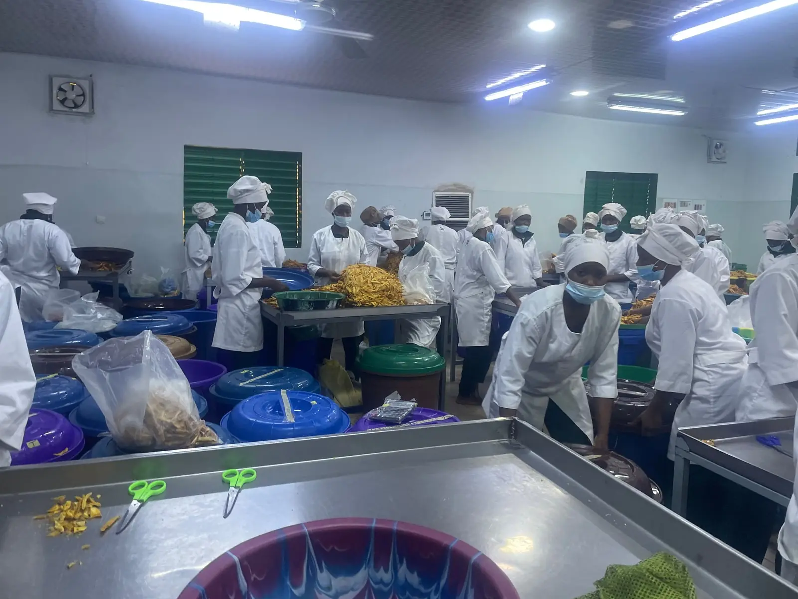 Tri et calibrage du produit séché.